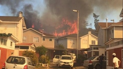 Cambio Climático y especies introducidas favorecen el desarrollo de incendios en la región