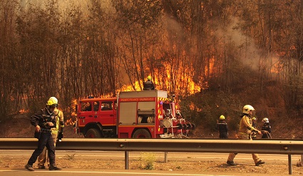 Cambio Climático y especies introducidas favorecen el desarrollo de incendios en la región