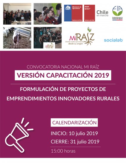Convocatoria nacional 2019: proyectos de Emprendimiento Innovador Rural – Mi Raíz