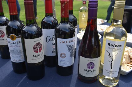 La Escuela de Agronomía celebra el Día Nacional del Vino
