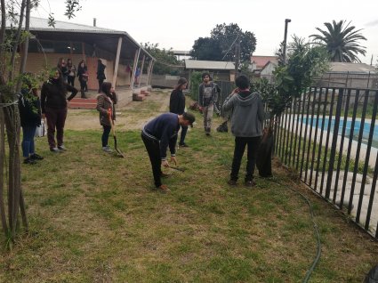 Estudiantes de la mención Fruticultura plantan huerto de naranjos en el Refugio Manuel de Tezanos Pinto de Quillota