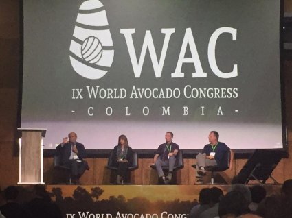 Académicos y ex alumnos de la Escuela de Agronomía participan en World Avocado Congress 2019 (WAC)