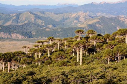 Nuevo Atlas Sudamericano de Sequías (SADA) cubre los últimos 600 años