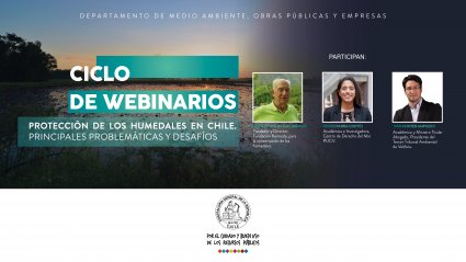 Investigadora del Centro de Derecho del Mar PUCV, Rocío Parra, participa en Webinario "Protección de los Humedales en Chile. Principales problemática y desafíos"