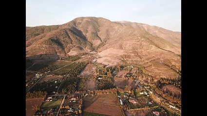 Científicos de la PUCV participan en recurso de Protección en apoyo a Contraloría ante tala de bosques nativos