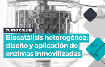 Curso Online "Biocatálisis heterogénea: diseño y aplicación de enzimas inmovilizadas"