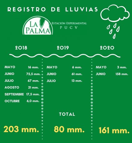 Instrumentos de medición de lluvia de Estación Experimental La Palma confirman el junio más lluvioso de los últimos 15 años
