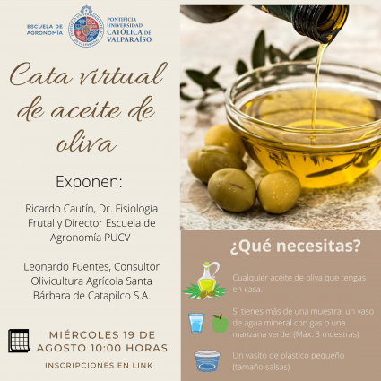 Webinar de agosto en Agronomía PUCV: Cata virtual de aceite de oliva