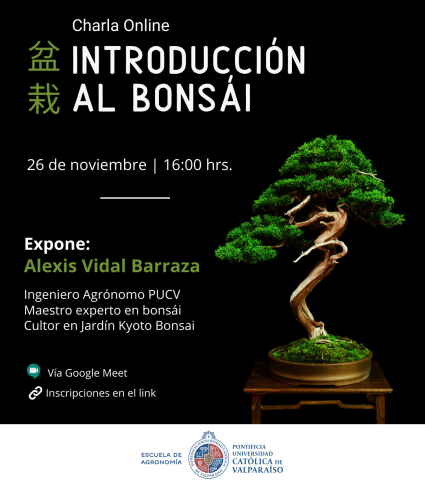 Charla online de noviembre abordará introducción al cultivo del bonsái