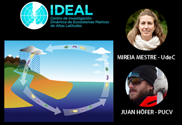 ¿Nuevas pandemias? Estudio postula que los microorganismos del planeta están conectados globalmente a través de una “cinta transportadora”