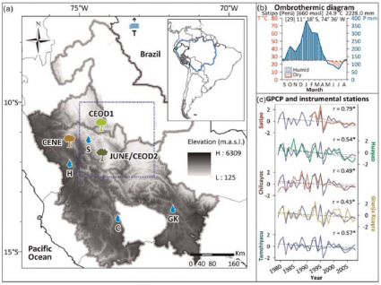 Nueva investigación dendrocronológica en el Amazonas peruano