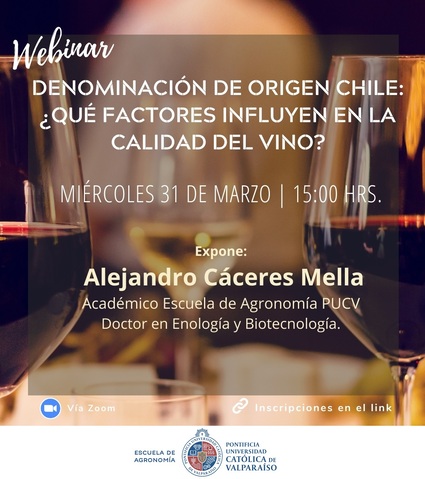 Webinar Denominación de origen Chile: ¿Qué factores influyen en la calidad del vino?