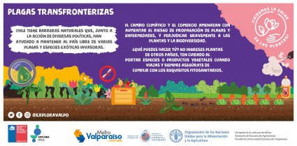 Nuevo contenido científico sobre sanidad vegetal llega a Metro Valparaíso