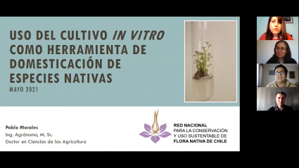 Red Nacional para la Conservación y Uso Sustentable de Flora Nativa de Chile dio inicio a sus actividades con charla sobre cultivo in vitro