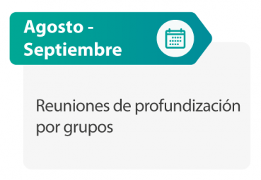 Reuniones de profundización por grupos