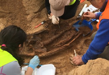 Fondo Margot Loyola PUCV desarrolló encuentro “Hallazgos Arqueológicos en la Plaza O'Higgins”