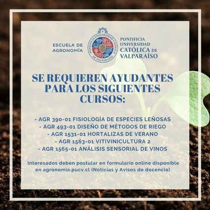 Aun se necesitan ayudantes para algunos cursos