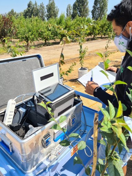 El Centro de Estudios Avanzados en Fruticultura recibirá estudiantes de Agronomía PUCV en todos los niveles de prácticas