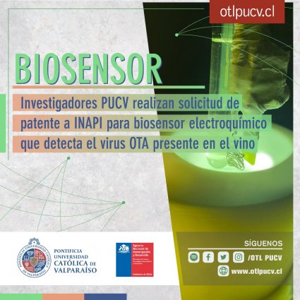 Investigadores PUCV realizan solicitud de patente para biosensor electroquímico que detecta el virus OTA presente en el vino