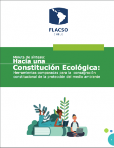 Investigadora Rocío Parra participa en red académica de apoyo técnico a la Convención Constitucional con apoyo de FLACSO