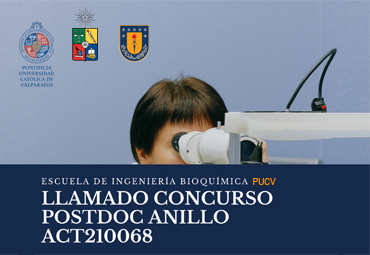 LLAMADO CONCURSO POSTDOC ANILLO ACT210068