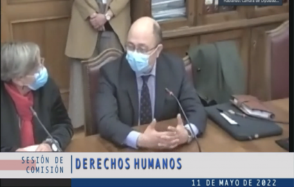 Profesor Manuel Núñez expone ante la Comisión de Derechos Humanos y Pueblos Originarios de la Cámara de Diputadas y Diputados de Chile