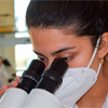 Investigación