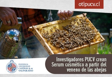Investigadores PUCV crean Serum cosmético a partir del veneno de las abejas