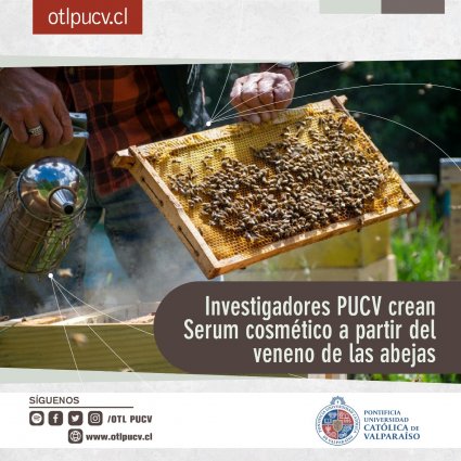Investigadores PUCV crean Serum cosmético a partir del veneno de las abejas