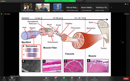 Inicio Diplomado Ciencias del Ejercicio Físico y Deportes