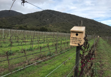 Reportaje El Mercurio de Valparaíso: Nuevas estrategias agronómicas para contextos desafiantes