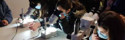 Profesor Hermann Manríquez realiza taller escolar “Dunas, más que cerros de arenas” en el Museo de Historia Natural de Valparaíso