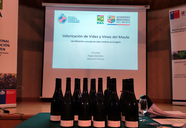 Participación de profesor Alejandro Cáceres en degustación de vinos en Región del Maule