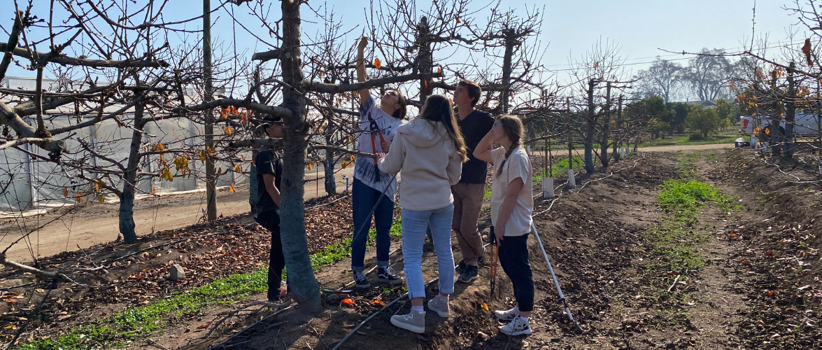Reportaje El Mercurio de Valparaíso: Escuela de Agronomía PUCV se actualiza para enfrentar los desafíos de la industria chilena