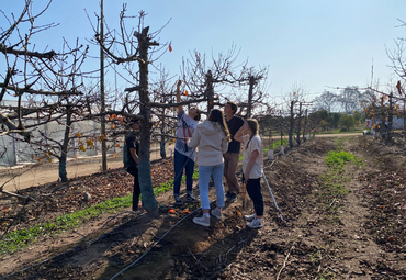 Reportaje El Mercurio de Valparaíso: Escuela de Agronomía PUCV se actualiza para enfrentar los desafíos de la industria chilena