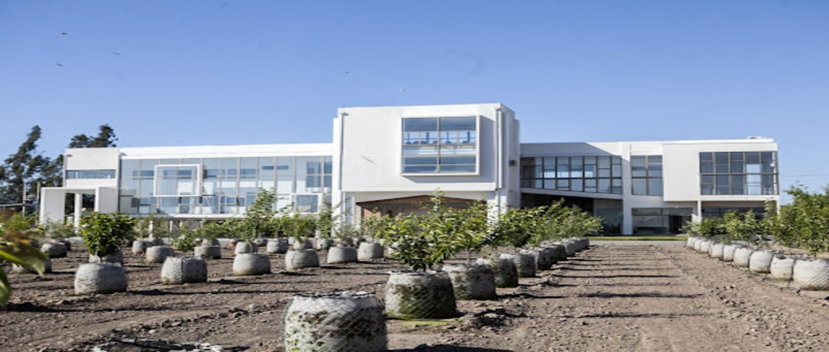 El Centro de Estudios Avanzado en Fruticultura recibirá a practicantes de Agronomía PUCV