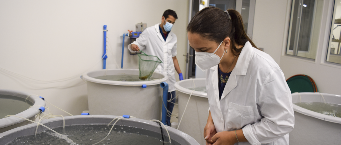 Nueva unidad apoya la investigación en acuicultura