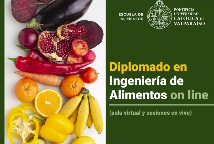 Diplomado en Ingeniería de Alimentos