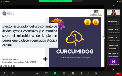 Se realizó la final del concurso Talento Emprendedor segundo semestre 2022 de la PUCV junto a Santander Universidades