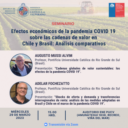 Seminario “Efectos económicos de la pandemia COVID 19 sobre las cadenas de valor en Chile y Brasil: Análisis comparativos”