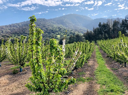 Un enfoque innovador para conciliar la producción agrícola y la biodiversidad