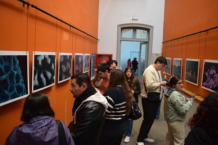 Ciencia y Arte en el Museo de Historia Natural de Valparaíso