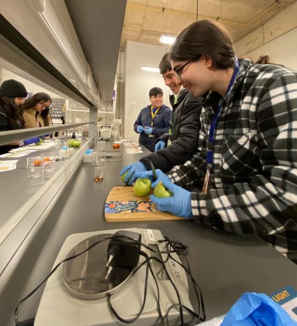 Estudiantes de Propedéutico trabajan en laboratorios PUCV