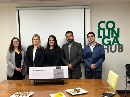 Profesora Alejandra Illanes presenta proyecto financiado por la Fundación Proacogida