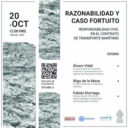 Seminario "Razonabilidad y caso fortuito"