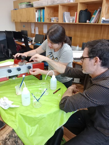 Investigador de la Technische Hochschule Lübeck de Alemania capacita al equipo de Dendrolab PUCV en anatomía de la madera.