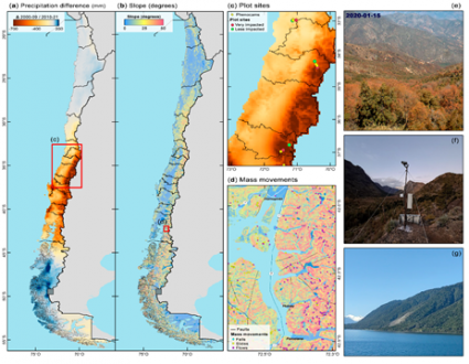 Equipo de investigación del DendroLab PUCV liderado por Ariel Muñoz se adjudican proyecto Fondecyt Regular