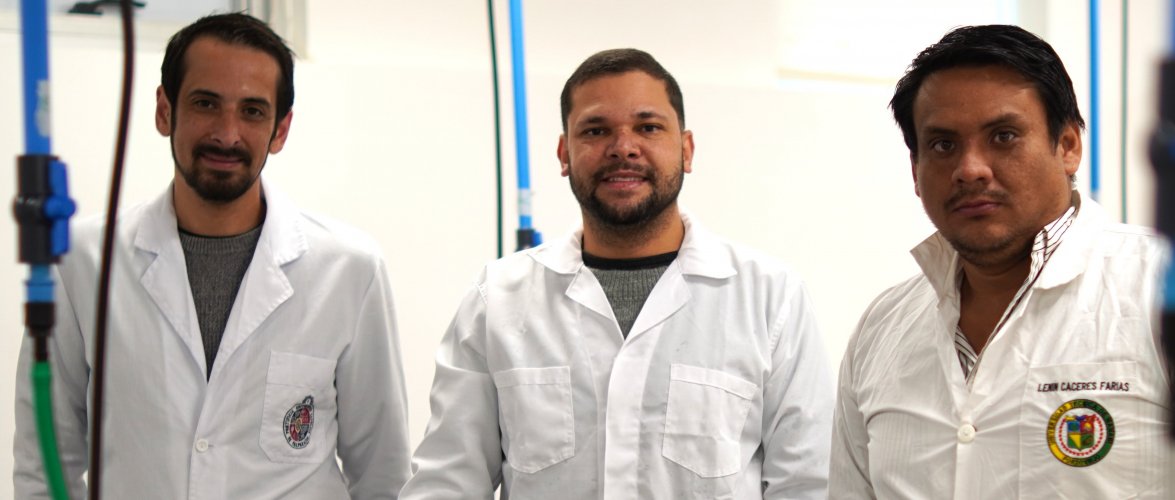 PUCV impulsa la acuicultura sustentable con nuevo proyecto sobre reproducción y larvicultura de lisa