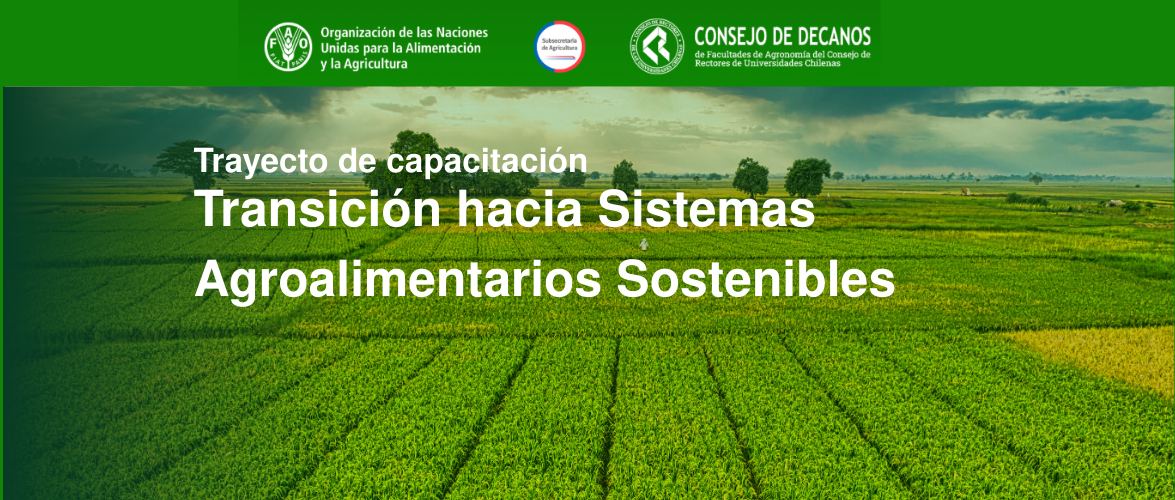 Capacitación FAO: impulsa tu formación en sostenibilidad agroalimentaria