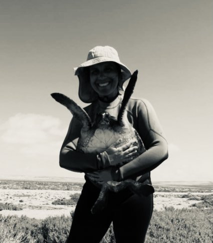 Profesora Rocío Álvarez se adjudica proyecto Fondecyt sobre investigación en el campo de la toxicológica evolutiva con tortugas marinas